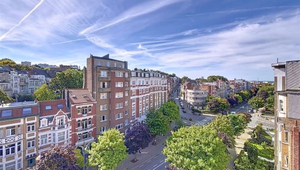 E3638931985765297023_9660AL